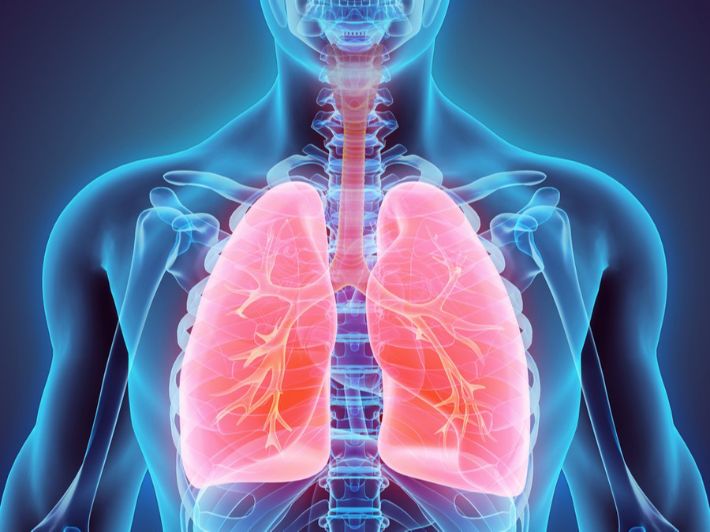  أجزاء الجهاز التنفسي عند الإنسان
