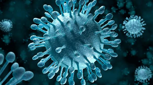 التهابات الكبد الفيروسية ذات الانتقال البرازي الفموي